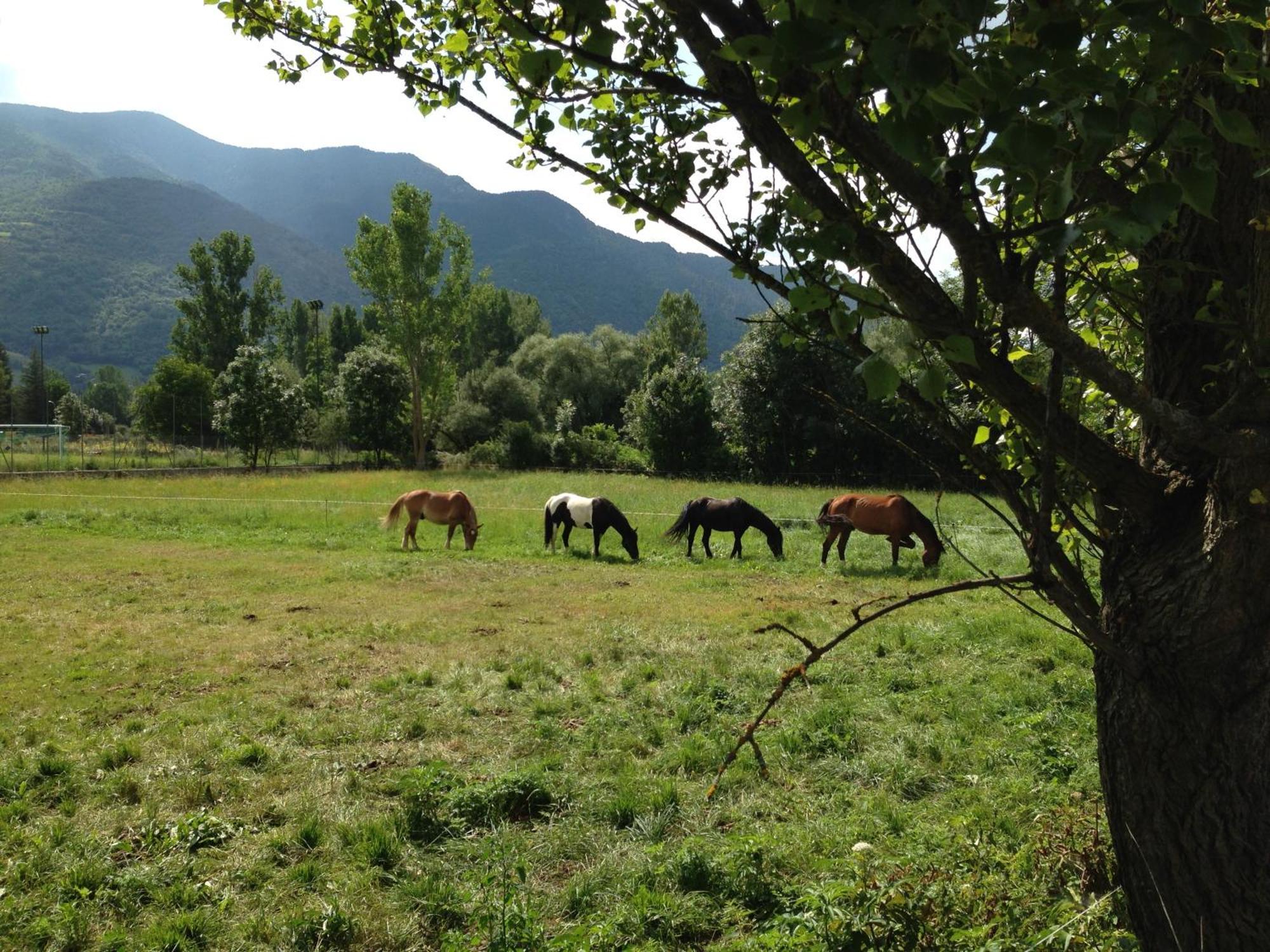 Apartaments Pirinenc Esterri d'Àneu Buitenkant foto